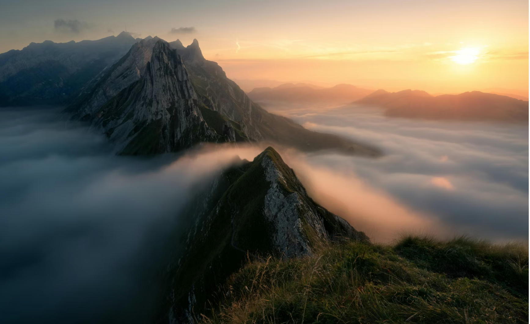 screen shot 2026 04 02 at 3.17.17 pm